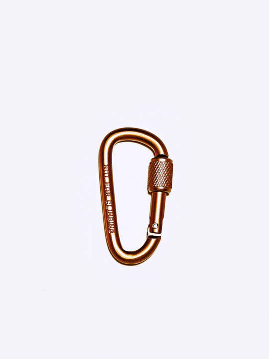 Heavy Duty Aluminum Locking Carabiner Clips – Screw Lock, Lightweight Gear & Keychain Hook (Pack of 4)