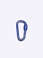 Heavy Duty Aluminum Locking Carabiner Clips – Screw Lock, Lightweight Gear & Keychain Hook (Pack of 4)